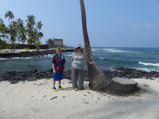 P1060465 (02-18-2017 12:16)