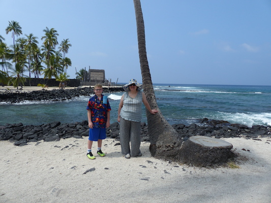 P1060466 (02-18-2017 12:16)