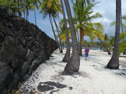 P1060467 (02-18-2017 12:21)