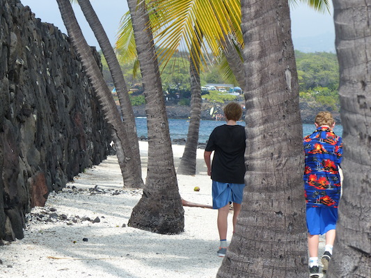 P1060468 (02-18-2017 12:21)