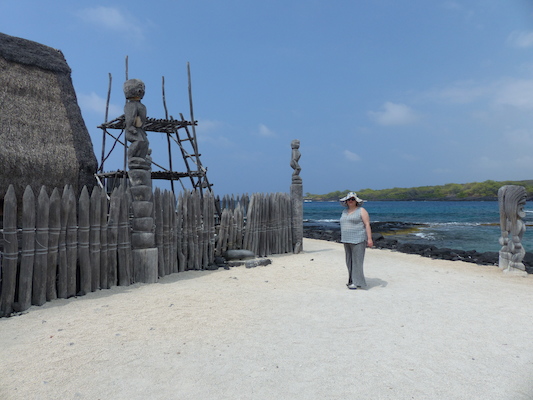 P1060469 (02-18-2017 12:22)