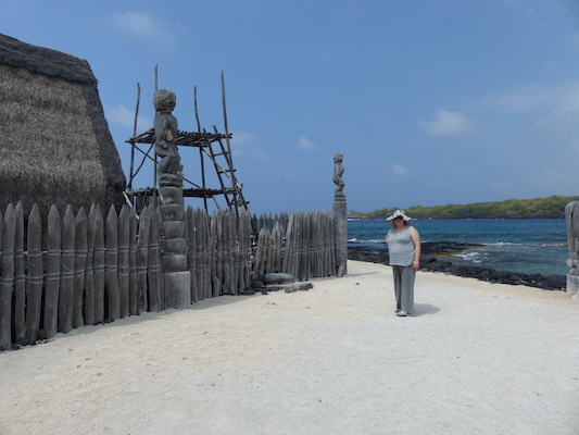 P1060470 (02-18-2017 12:22)