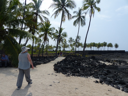 P1060471 (02-18-2017 12:22)