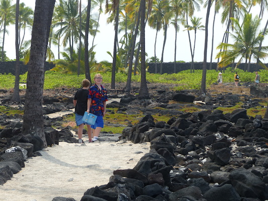 P1060472 (02-18-2017 12:22)