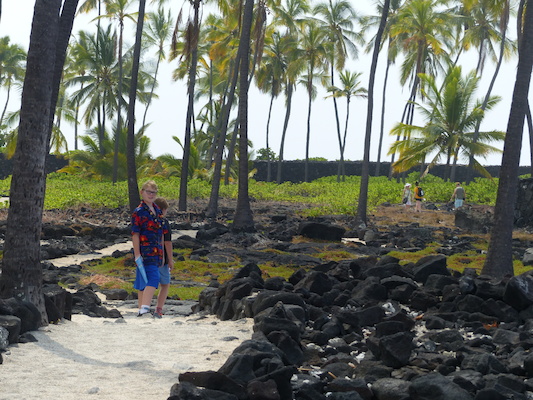 P1060473 (02-18-2017 12:22)