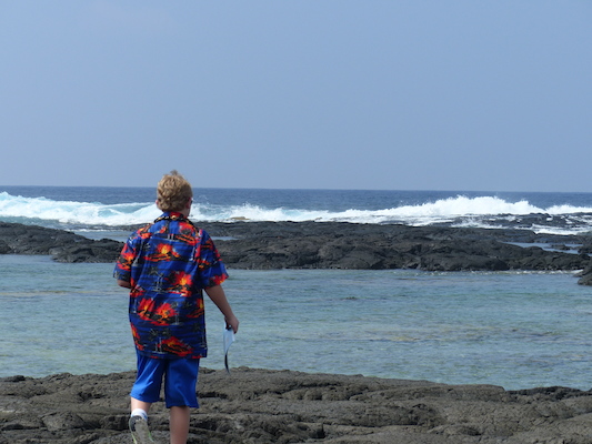 P1060474 (02-18-2017 12:24)