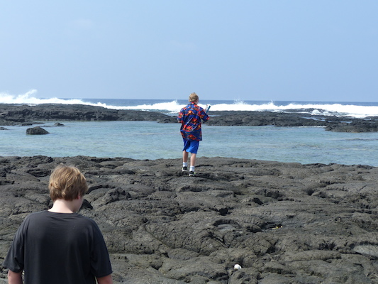 P1060475 (02-18-2017 12:24)