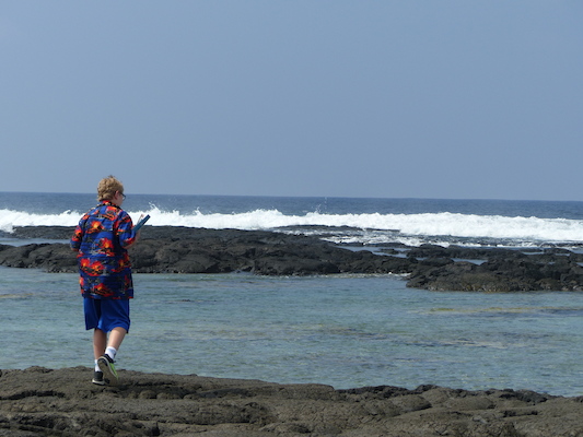 P1060476 (02-18-2017 12:24)