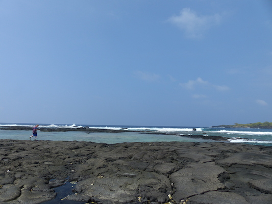 P1060477 (02-18-2017 12:24)