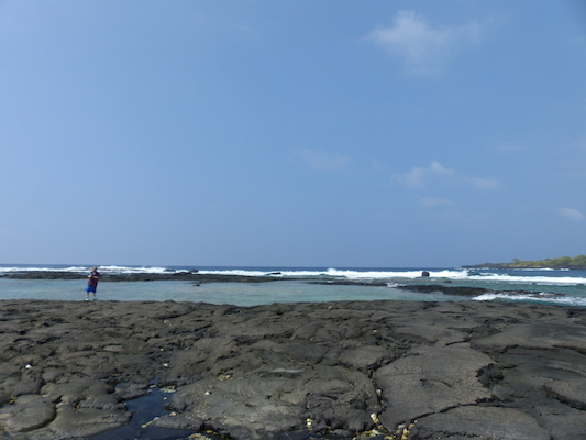 P1060478 (02-18-2017 12:24)