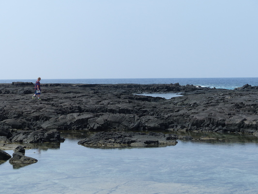 P1060479 (02-18-2017 12:30)