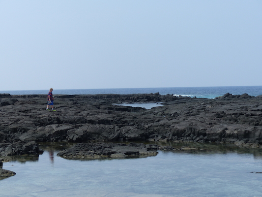 P1060480 (02-18-2017 12:30)