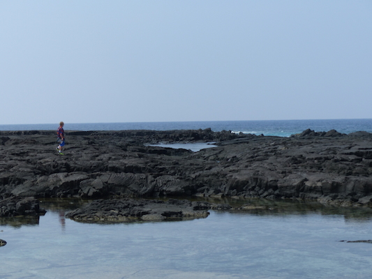 P1060481 (02-18-2017 12:30)