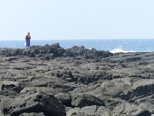 P1060484 (02-18-2017 12:32)