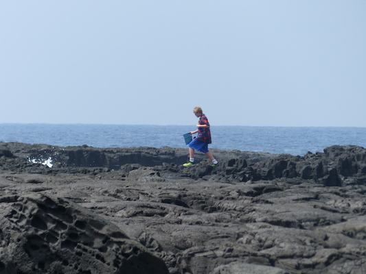 P1060485 (02-18-2017 12:32)