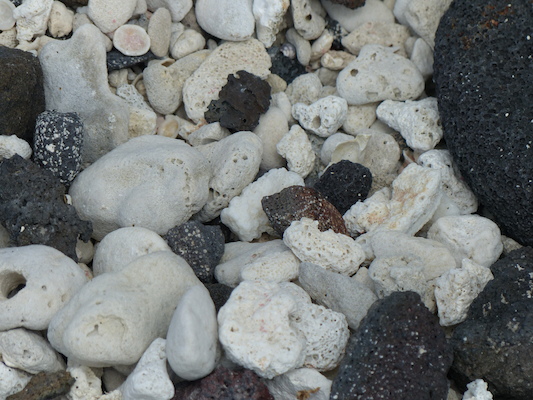 P1060486 (02-18-2017 12:37)