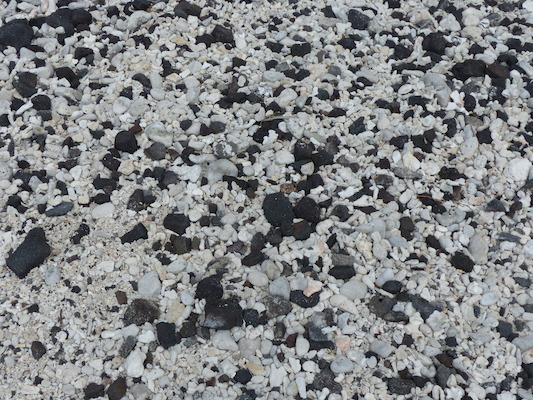 P1060487 (02-18-2017 12:37)