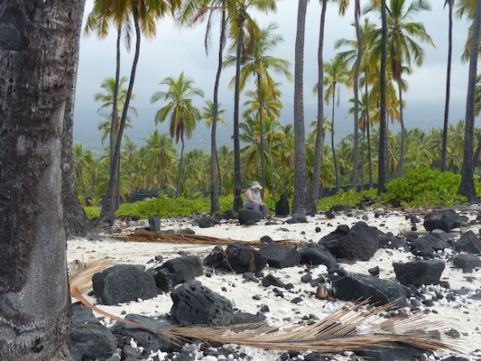 P1060488 (02-18-2017 12:37)