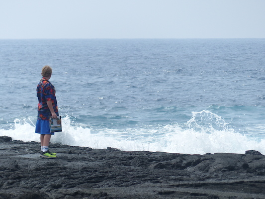 P1060489 (02-18-2017 12:37)