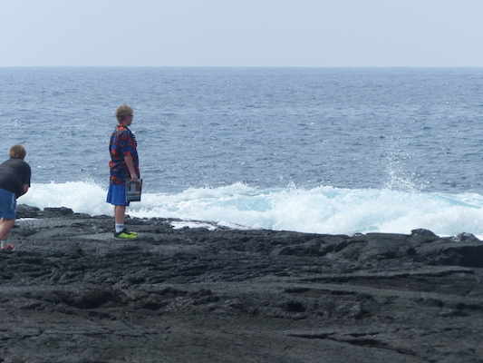 P1060490 (02-18-2017 12:37)