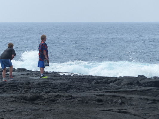 P1060491 (02-18-2017 12:37)