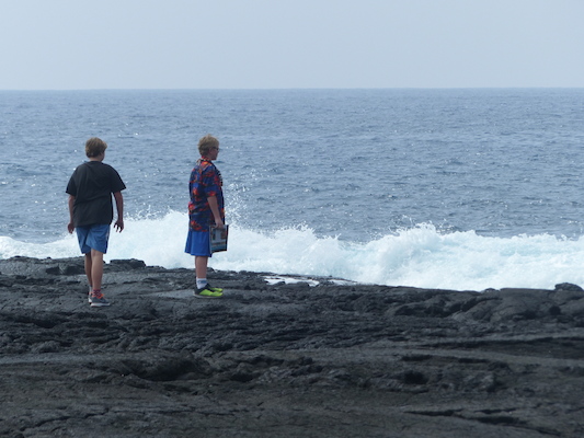 P1060492 (02-18-2017 12:37)