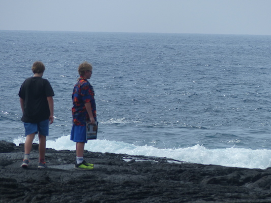 P1060493 (02-18-2017 12:37)