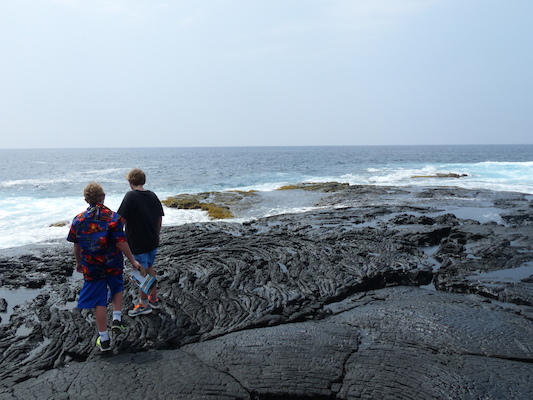 P1060494 (02-18-2017 12:41)