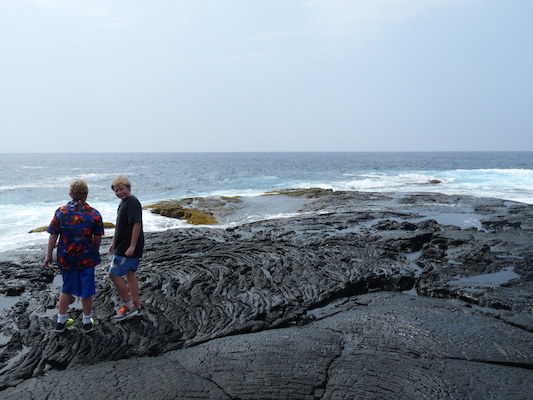 P1060495 (02-18-2017 12:41)