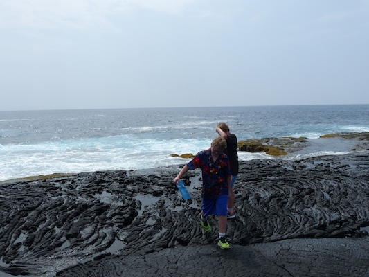 P1060496 (02-18-2017 12:41)