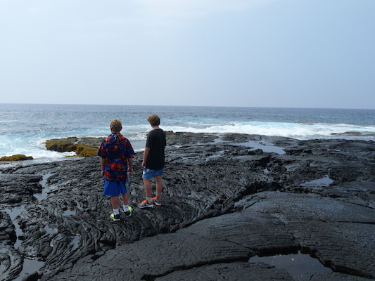 P1060497 (02-18-2017 12:41)