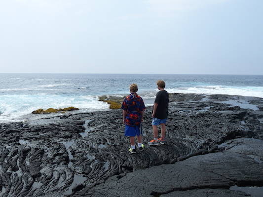 P1060498 (02-18-2017 12:41)