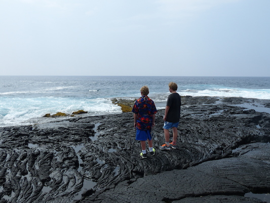 P1060499 (02-18-2017 12:41)