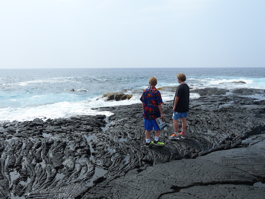 P1060500 (02-18-2017 12:41)