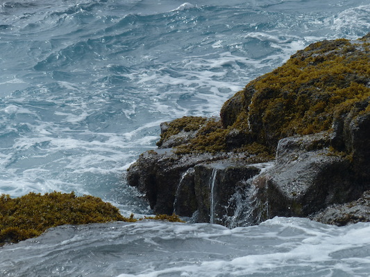 P1060501 (02-18-2017 12:43)