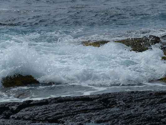 P1060503 (02-18-2017 12:43)