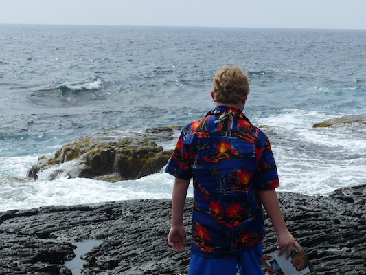 P1060504 (02-18-2017 12:43)