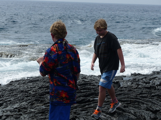 P1060505 (02-18-2017 12:44)