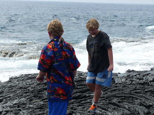 P1060506 (02-18-2017 12:44)