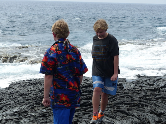 P1060507 (02-18-2017 12:44)