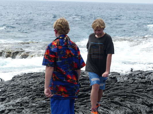 P1060508 (02-18-2017 12:44)