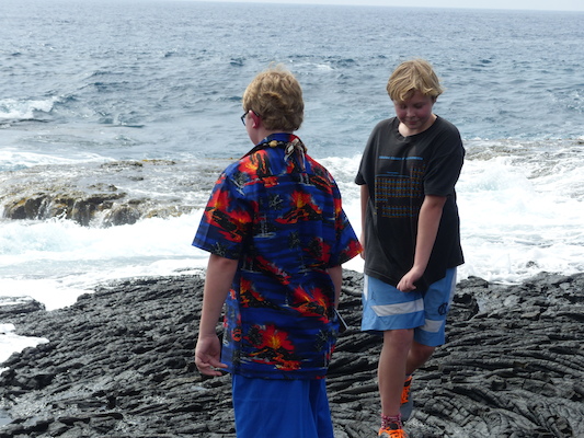 P1060509 (02-18-2017 12:44)