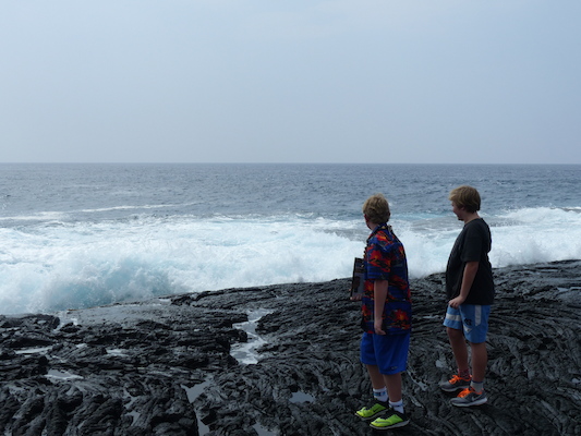 P1060510 (02-18-2017 12:44)