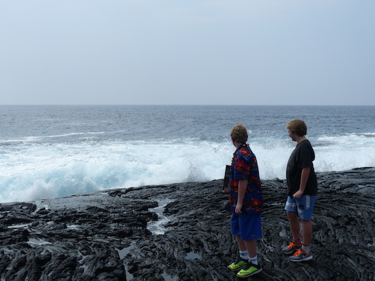 P1060511 (02-18-2017 12:44)