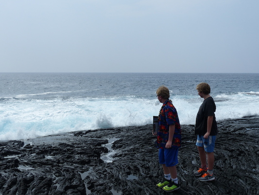 P1060512 (02-18-2017 12:44)