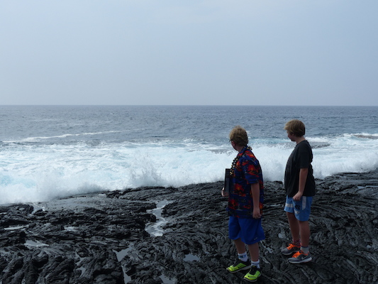 P1060513 (02-18-2017 12:44)