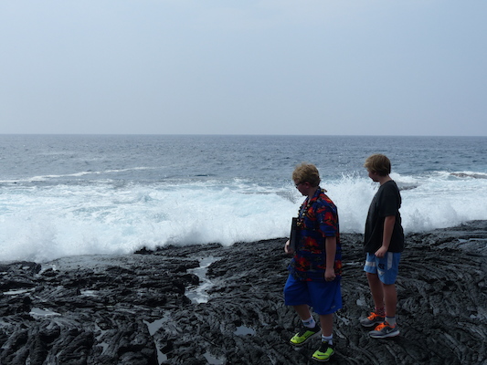 P1060514 (02-18-2017 12:44)