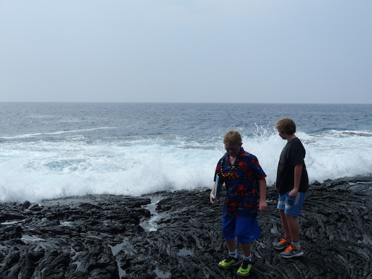 P1060515 (02-18-2017 12:44)