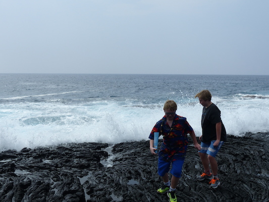 P1060516 (02-18-2017 12:44)