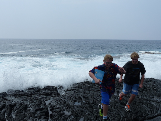 P1060518 (02-18-2017 12:44)